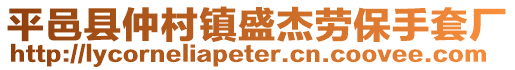 平邑县仲村镇盛杰劳保手套厂