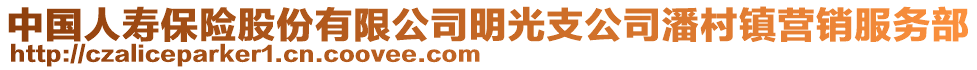 中国人寿保险股份有限公司明光支公司潘村镇营销服务部