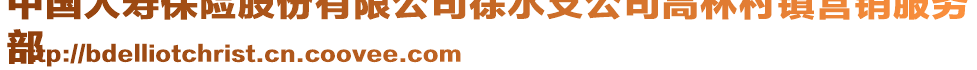 中國(guó)人壽保險(xiǎn)股份有限公司徐水支公司高林村鎮(zhèn)營(yíng)銷(xiāo)服務(wù)
部