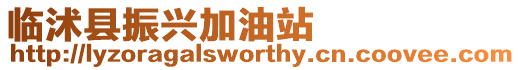 臨沭縣振興加油站