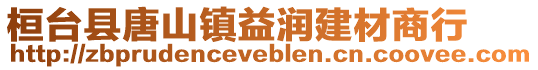 桓台县唐山镇益润建材商行