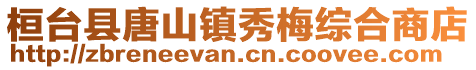 桓台县唐山镇秀梅综合商店