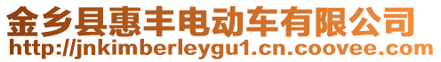 金鄉縣惠豐電動車有限公司