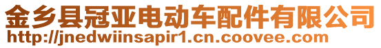 金鄉(xiāng)縣冠亞電動車配件有限公司