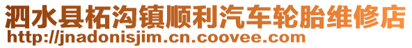 泗水縣柘溝鎮(zhèn)順利汽車輪胎維修店