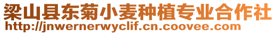 梁山縣東菊小麥種植專業合作社
