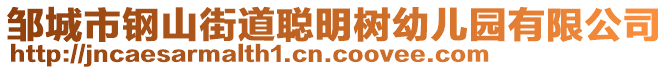 鄒城市鋼山街道聰明樹(shù)幼兒園有限公司