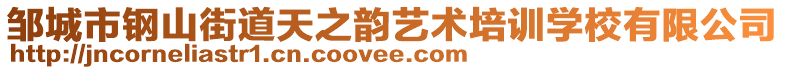 鄒城市鋼山街道天之韻藝術(shù)培訓(xùn)學(xué)校有限公司