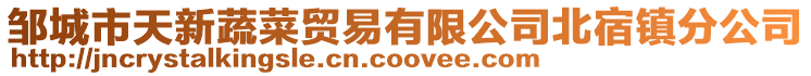 鄒城市天新蔬菜貿易有限公司北宿鎮分公司