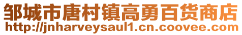 鄒城市唐村鎮(zhèn)高勇百貨商店