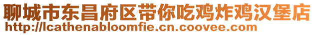 聊城市東昌府區(qū)帶你吃雞炸雞漢堡店