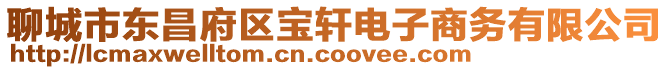 聊城市東昌府區(qū)寶軒電子商務(wù)有限公司