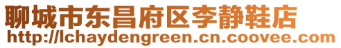 聊城市東昌府區(qū)李靜鞋店