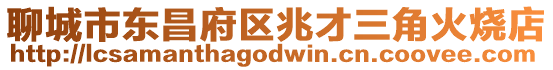 聊城市東昌府區(qū)兆才三角火燒店