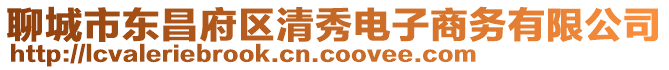 聊城市東昌府區(qū)清秀電子商務(wù)有限公司