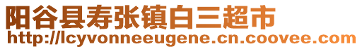 陽谷縣壽張鎮(zhèn)白三超市