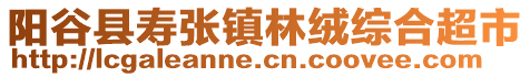 陽谷縣壽張鎮(zhèn)林絨綜合超市