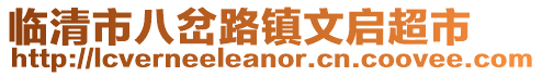 臨清市八岔路鎮文啟超市