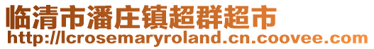 臨清市潘莊鎮(zhèn)超群超市