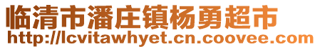 臨清市潘莊鎮楊勇超市