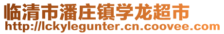 臨清市潘莊鎮學龍超市