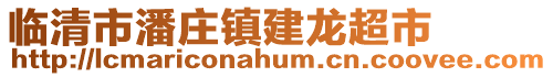 臨清市潘莊鎮建龍超市