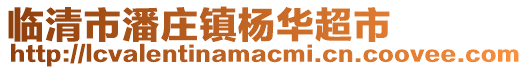 臨清市潘莊鎮楊華超市