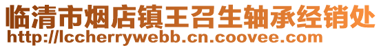 臨清市煙店鎮王召生軸承經銷處