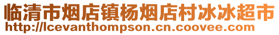 臨清市煙店鎮楊煙店村冰冰超市