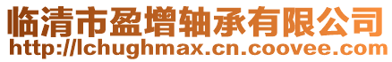 臨清市盈增軸承有限公司
