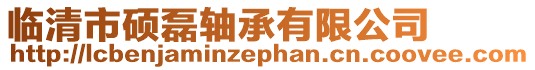 臨清市碩磊軸承有限公司