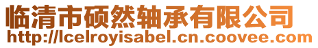 臨清市碩然軸承有限公司