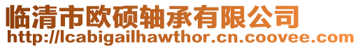 臨清市歐碩軸承有限公司