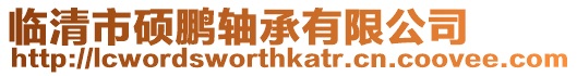臨清市碩鵬軸承有限公司