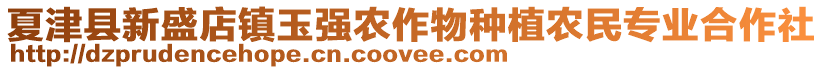 夏津縣新盛店鎮(zhèn)玉強(qiáng)農(nóng)作物種植農(nóng)民專業(yè)合作社