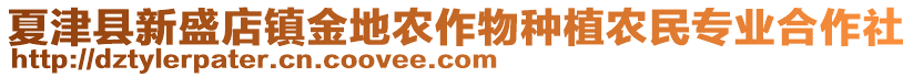 夏津縣新盛店鎮金地農作物種植農民專業合作社