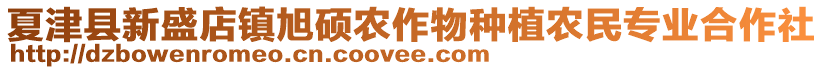 夏津县新盛店镇旭硕农作物种植农民专业合作社