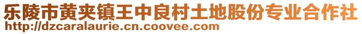 乐陵市黄夹镇王中良村土地股份专业合作社