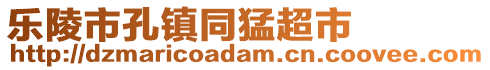 乐陵市孔镇同猛超市