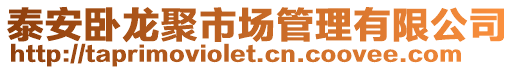 泰安臥龍聚市場(chǎng)管理有限公司