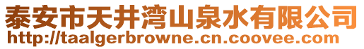泰安市天井灣山泉水有限公司