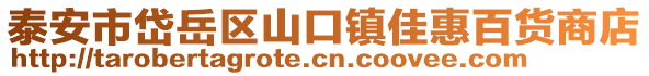 泰安市岱岳区山口镇佳惠百货商店