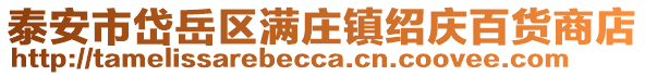 泰安市岱岳區滿莊鎮紹慶百貨商店