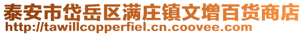 泰安市岱岳區(qū)滿莊鎮(zhèn)文增百貨商店