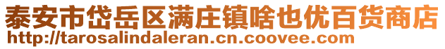 泰安市岱岳區(qū)滿莊鎮(zhèn)啥也優(yōu)百貨商店