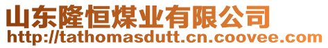 山東隆恒煤業有限公司