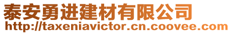 泰安勇進建材有限公司