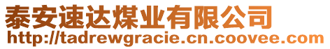 泰安速達(dá)煤業(yè)有限公司