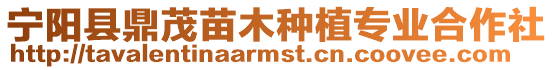 寧陽縣鼎茂苗木種植專業(yè)合作社