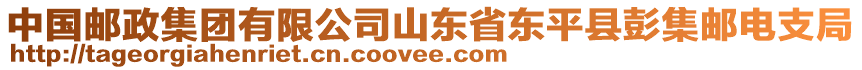 中國郵政集團(tuán)有限公司山東省東平縣彭集郵電支局